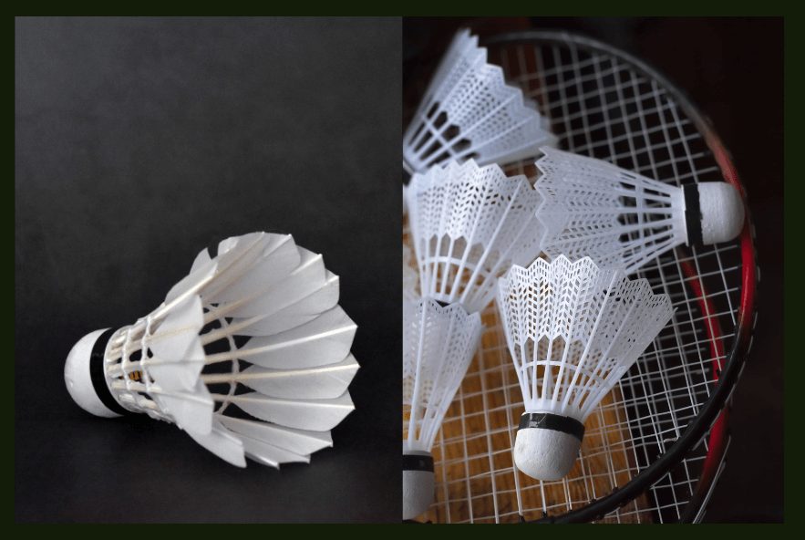 feather & plastic birdie