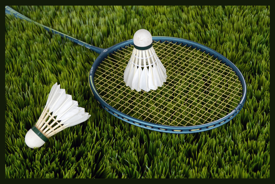 Feathers Shuttlecock